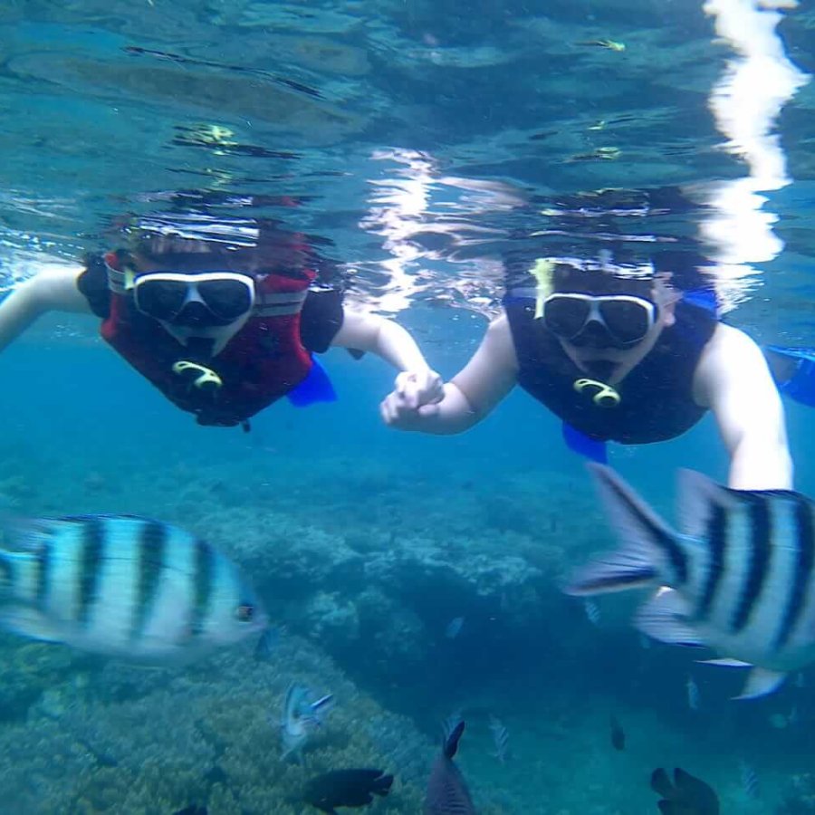 13613e1b-90ac-4e78-9b4e-48fbd847ceee