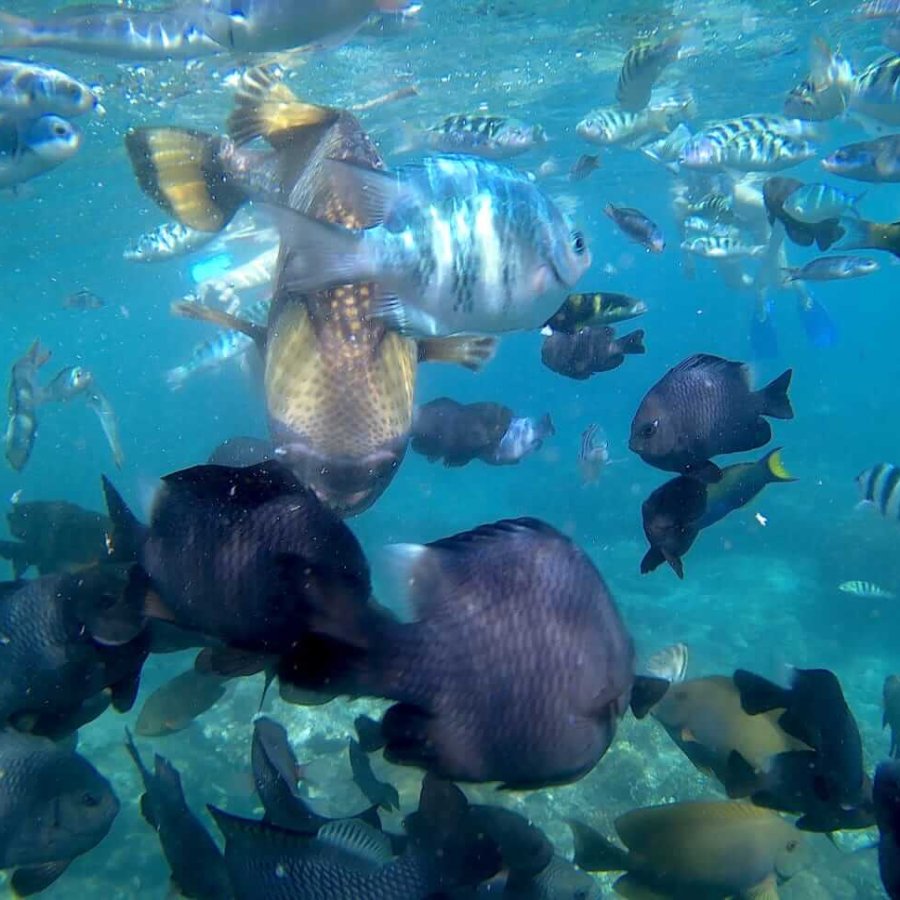 dcd67852-a999-41cb-818b-bbecce19ded9