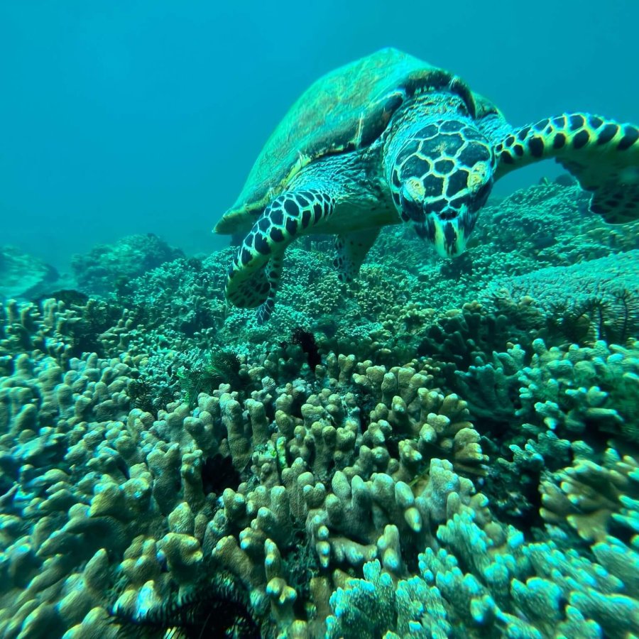 e8a0f30b-bc2b-4a08-903e-f6c325fe0b85